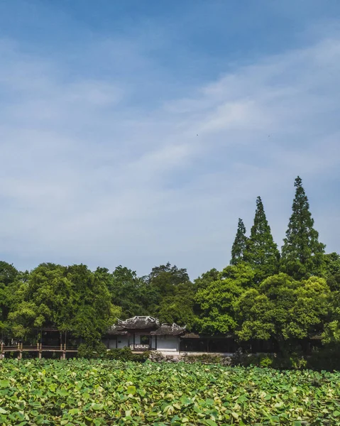 Architecture chinoise par étang avec feuilles de lotus à Nanxun, Zhejia — Photo