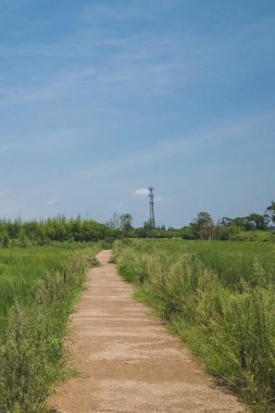 Liangzhu City Arkeolojik Kalıntıları Peyzaj, Hangzhou, C
