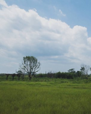 Liangzhu City Arkeolojik Kalıntıları Peyzaj, Hangzhou, C