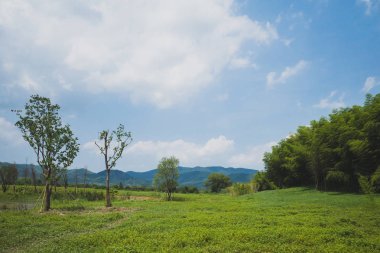 Liangzhu City Arkeolojik Kalıntıları Peyzaj, Hangzhou, C