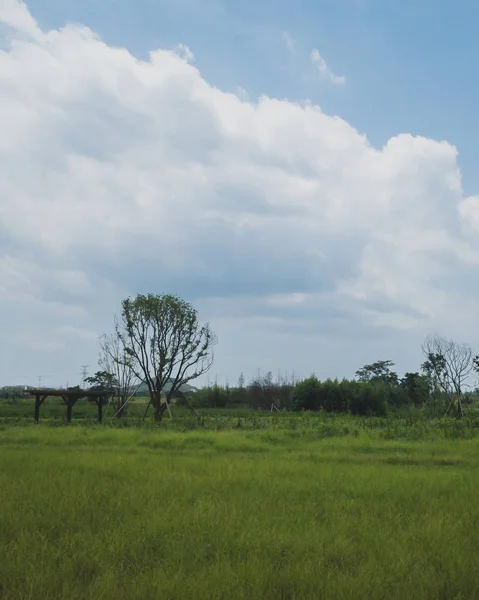 Liangzhu City Arkeolojik Kalıntıları Peyzaj, Hangzhou, C