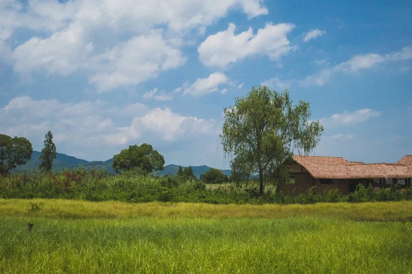 Krajina v archeologických troskách města Liangzhu, Hangzhou, C — Stock fotografie