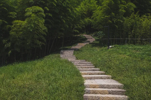 Landskap vid arkeologiska ruiner i Liangzhu City, Hangzhou, C — Stockfoto