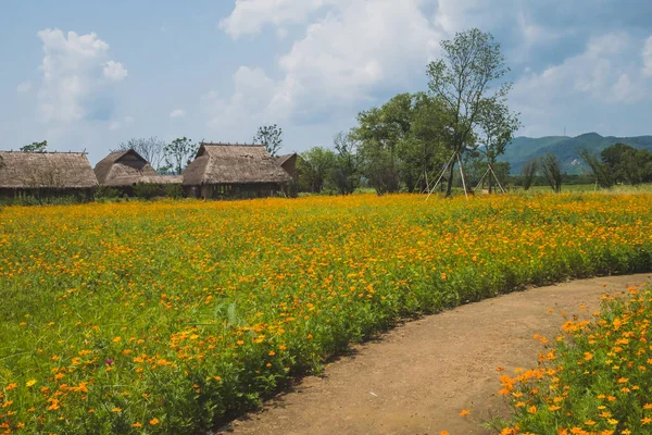 Krajina v archeologických troskách města Liangzhu, Hangzhou, C — Stock fotografie