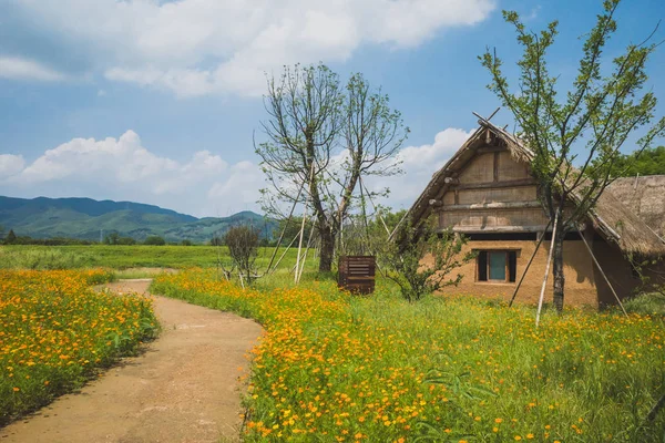 Cabanes dans les ruines archéologiques de la ville de Liangzhu, Hangzhou, Chine — Photo