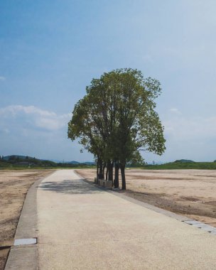 Liangzhu Şehrinin Arkeolojik Kalıntıları'ndaki şehir alanı