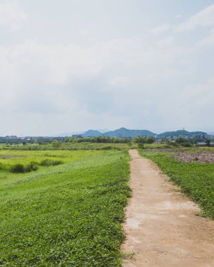 Liangzhu Şehrinin Arkeolojik Kalıntıları'ndaki şehir alanı