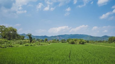 Liangzhu City Arkeolojik Kalıntıları Peyzaj, Hangzhou, C