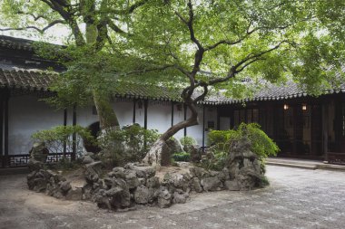 Tuisi Garden Tongli eski şehirde, Jiangsu, Çin