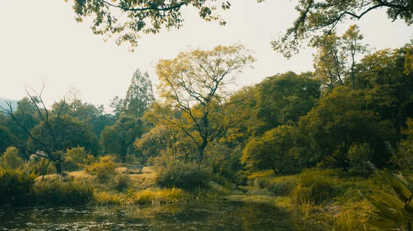 Krajina Lesa Teplém Slunečním Světle Blízkosti Hangzhou Botanická Zahrada Hangzhou — Stock fotografie