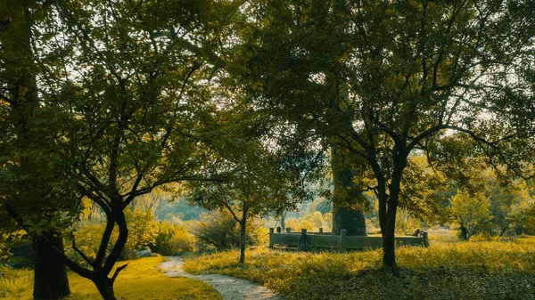 Stezka Lese Hangzhou Botanická Zahrada Hangzhou Zhejiang Čína — Stock fotografie