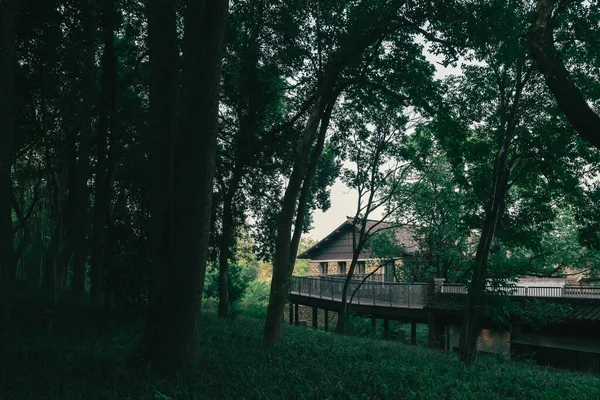 Dům Lesích Blízkosti Hangzhou Botanická Zahrada Hangzhou Zhejiang Čína — Stock fotografie