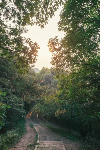 Stezka Lese Beigao Peak Hangzhou Zhejiang Čína — Stock fotografie