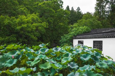 Lotus geleneksel mimariyle Hangzhou, Çin 'deki Batı Gölü manzaralı alanından ayrılıyor.