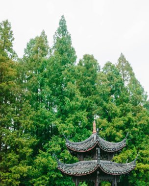 Çin 'in Hangzhou kentindeki Batı Gölü manzaralı alanındaki ağaçların önünde geleneksel Çin pavyonu.