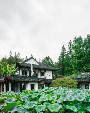 Çin 'in Hangzhou kentindeki Batı Gölü manzaralı bölgede geleneksel mimarinin nilüfer yaprakları manzarası