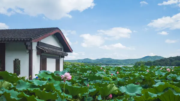 Lotus Listy Tradiční Architekturou Západní Lake Malebné Oblasti Hangzhou Čína — Stock fotografie