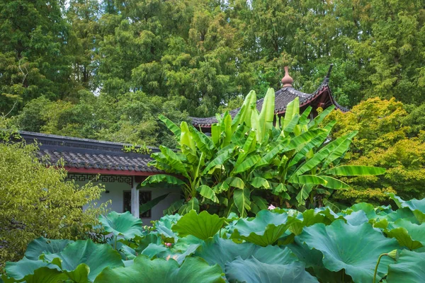 Vue Sur Les Feuilles Lotus Architecture Traditionnelle Dans Région Pittoresque — Photo