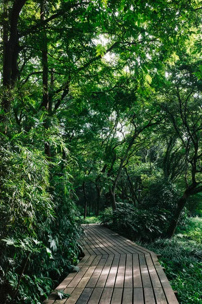 Chemin Dans Les Bois Dans Région Pittoresque West Lake Hangzhou — Photo