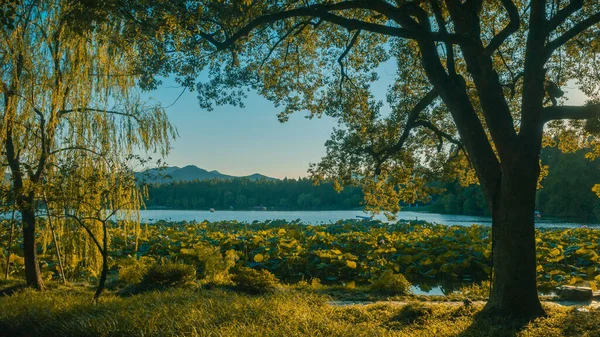 Pohled Krajinu Západního Jezera Soumraku Hangzhou Čína — Stock fotografie