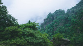Картина, постер, плакат, фотообои "trees on cliffs on top of wugong mountain in jiangxi, china", артикул 410763960