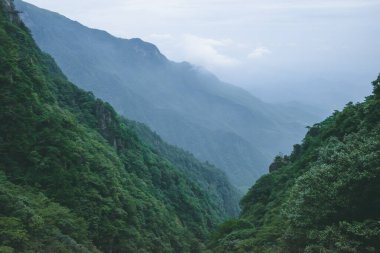 Jiangxi, Çin 'deki Wugong Dağı' nın tepesinde bulut ve sisle kaplı bir dağ manzarası.