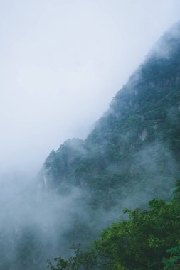 Jiangxi, Çin 'deki Wugong Dağı' nın tepesinde bulut ve sisle kaplı bir dağ manzarası.