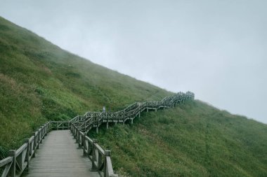 Jiangxi, Çin 'deki Wugong Dağı' ndaki çayırda tahta yürüyüş yolu.