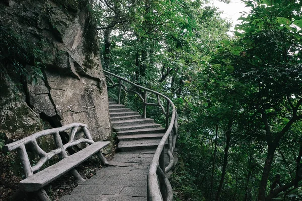 Sendero Entre Árboles Cima Montaña Wugong Jiangxi China — Foto de Stock