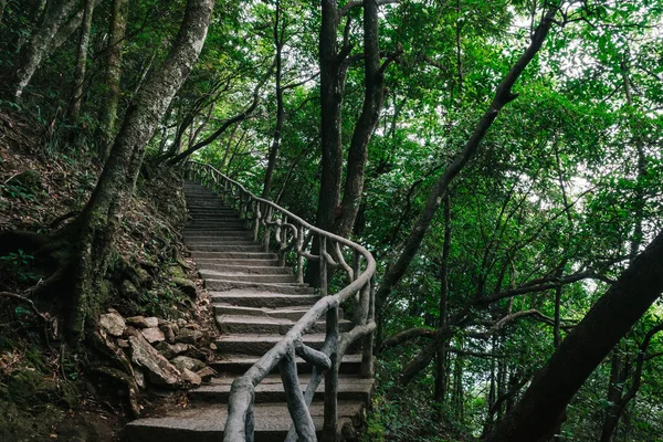 Sendero Entre Árboles Cima Montaña Wugong Jiangxi China — Foto de Stock