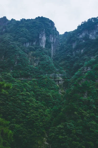 Bomen Kliffen Top Van Wugong Mountain Jiangxi China — Stockfoto