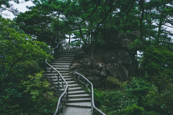 Sendero Entre Árboles Cima Montaña Wugong Jiangxi China — Foto de Stock