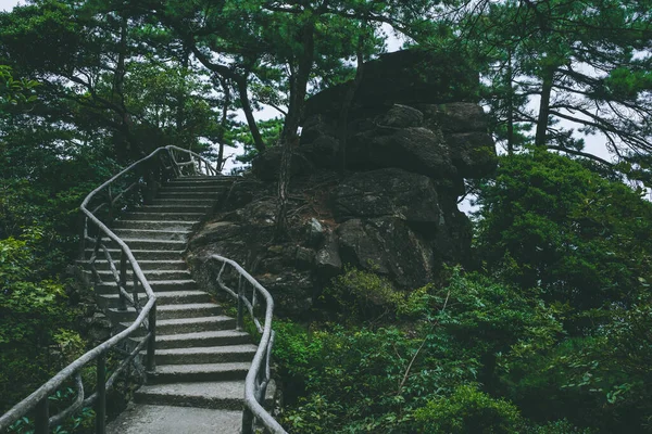 Sendero Entre Árboles Cima Montaña Wugong Jiangxi China — Foto de Stock