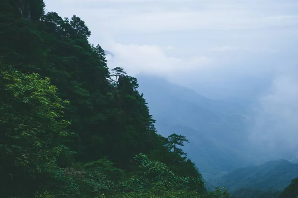 Paisaje Montaña Cubierto Nubes Niebla Cima Montaña Wugong Jiangxi China —  Fotos de Stock