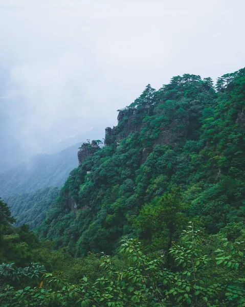 江西乌公山顶上悬崖上的树木 — 图库照片