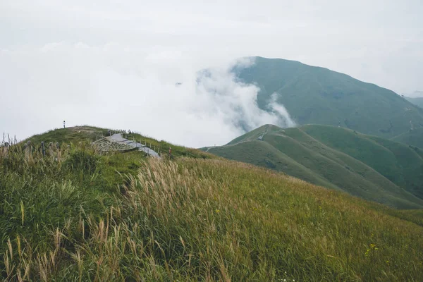 Grassland on mountain ridge covered in clouds on top of Wugong Mountain in Jiangxi, China