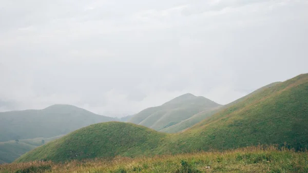 Travnaté Porosty Horském Hřebeni Pokryté Mraky Vrcholu Hory Wugong Ťiang — Stock fotografie