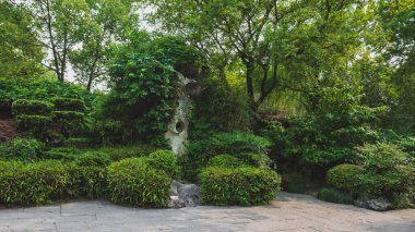 Shenyuan 'daki kaya ve ağaçlar (Shen Garden) Shaoxing, Çin' deki manzara alanı