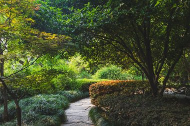 Shenyuan 'daki ağaçlar arasındaki patika (Shen Garden) Shaoxing, Çin' deki manzaralı alan