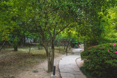 Shenyuan 'daki bahçedeki ağaçlar arasındaki yol (Shen Garden) Shaoxing, Çin' deki manzaralı alan