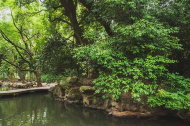 Lanting 'deki kayalar ve ağaçlar (Orkide Pavyonu) Shaoxing, Çin' deki manzara alanı