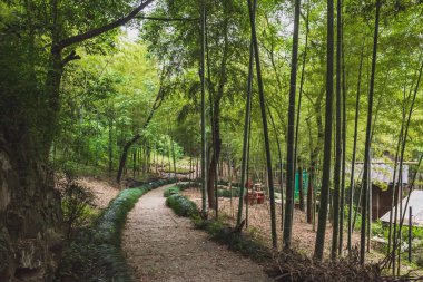 Lanting 'deki bambu ormanının patikası (Orkide Pavyonu) Shaoxing, Çin' deki manzara alanı