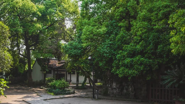 House behind trees in city centre of Shaoxing, China