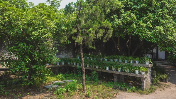 Jardín Verde Área Escénica Xun Guli Shaoxing China —  Fotos de Stock