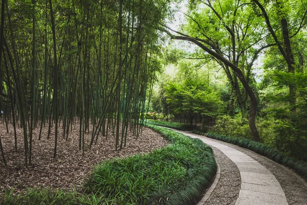 Lanting 'deki bambu ormanının patikası (Orkide Pavyonu) Shaoxing, Çin' deki manzara alanı