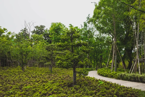 Sentier Pédestre Entre Les Arbres Lanting Pavillon Orchidée Zone Pittoresque — Photo