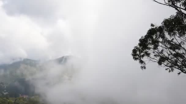 タイムラプス ビデオ山と植生コーカーズ コダイカナルにある風景を歩く — ストック動画