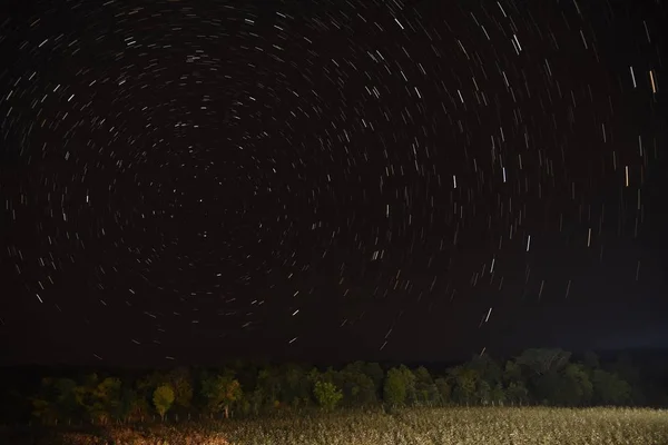 Star Trail Covering Sky Winter Time Pench National Park India — Stock Photo, Image