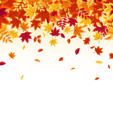 Sonbahar yaprakları. Kırmızı, turuncu, sarı yapraklı doğa. Uçan yaprak. Sezon indirimi. Vektör illüstrasyonu.