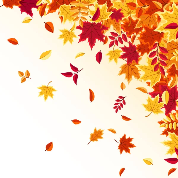 Autumn falling leaves. Nature background with red, orange, yellow foliage. Flying leaf. Season sale. Vector illustration. — Stock Vector